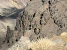 bburnscb1img_0744_small.jpg