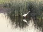 bburnscb1img_0774_small.jpg