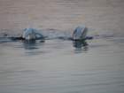bburnscb1img_1439_small.jpg