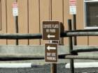 cburnscb1img_0828_small.jpg
