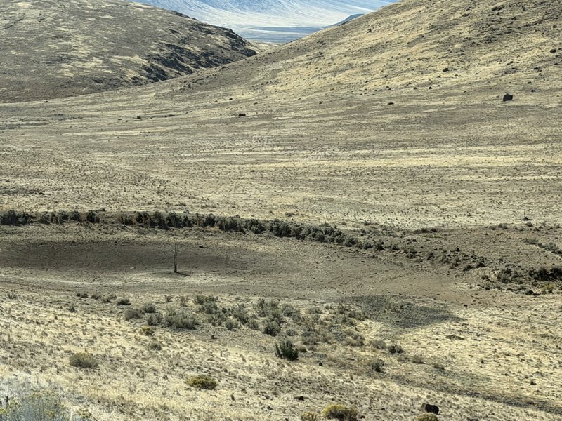mammothmcb1img_0872.jpg