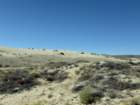 mammothmcb1img_0884_small.jpg