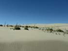 mammothmcb1img_0885_small.jpg
