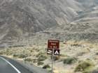 mammothmcb1img_0939_small.jpg