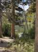 mammothmcb1img_1019_small.jpg