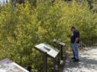 mammothmcb1img_1050_small.jpg