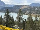 mammothmcb1img_1068_small.jpg