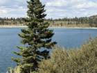 mammothmcb1img_1074_small.jpg
