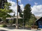 mammothmcb1img_1085_small.jpg