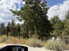 mammothmcb1img_1086_small.jpg
