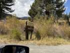 mammothmcb1img_1087_small.jpg