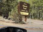 mammothmcb1img_1094_small.jpg