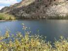 mammothmcb1img_1096_small.jpg