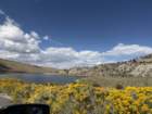 mammothmcb1img_1110_small.jpg