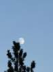 mammothmcb1img_1168_small.jpg