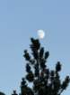 mammothmcb1img_1169_small.jpg