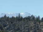 mammothmcb1img_1178_small.jpg