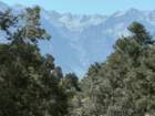 mammothmcb1img_1180_small.jpg
