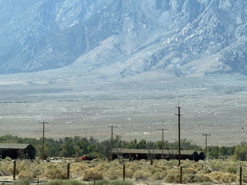 mammothmcb1img_1200.jpg