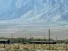 mammothmcb1img_1200_small.jpg