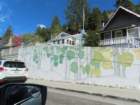 mammothmcb1img_1455_small.jpg